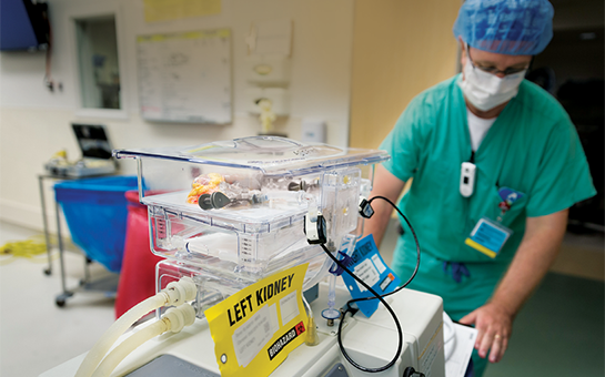 Kidney transplant
