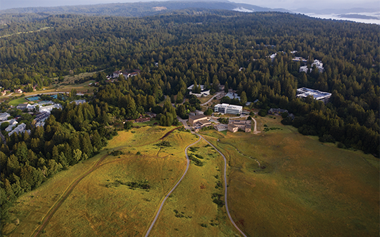 Central Coast landscape