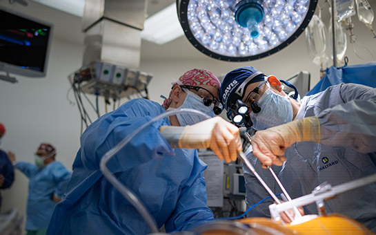 Two UC Davis Health cardiac surgeons.