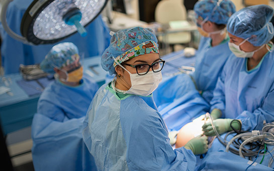 Obstetrics and gynecology surgery team members.