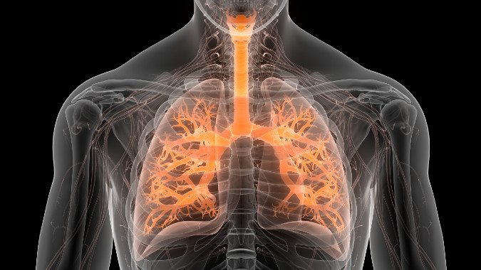 artist rendering of lung imaging.