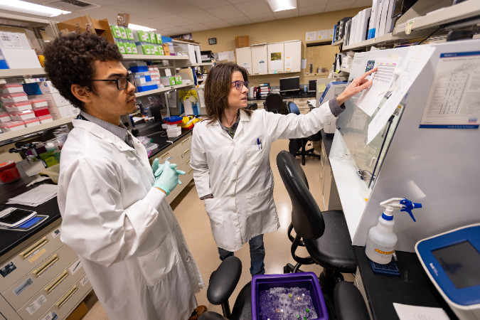 two doctors speaking