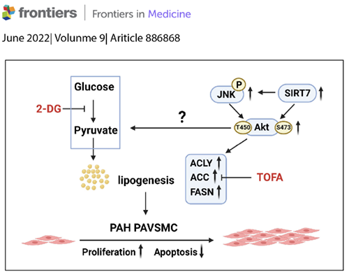 signaling scheme