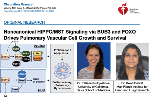 Circulation Research paper