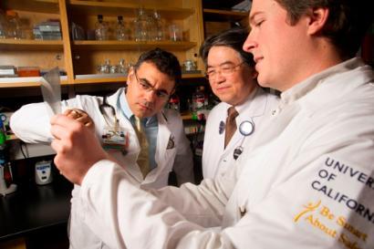 Dr. Zeki, Dr. Louie and Dr. Otto looking at scans in the lab