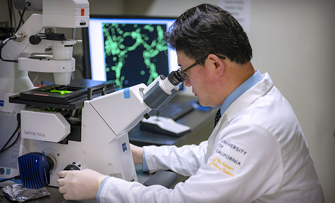 UC Davis researcher Wang working in lab