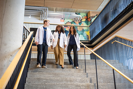 Medical students walking down the steps inside the school of medicine education building
