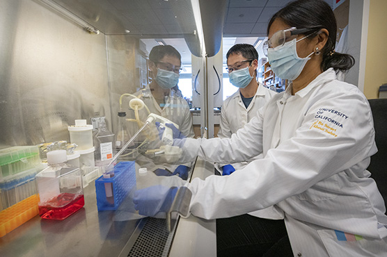 cardiology researchers