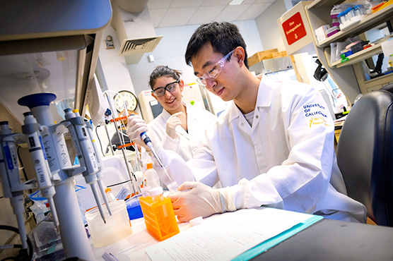 Students conducting stem cell research in a scientific laboratory