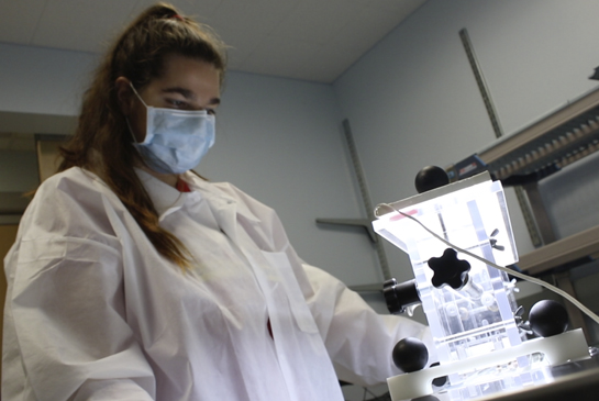 researcher working with a mouse