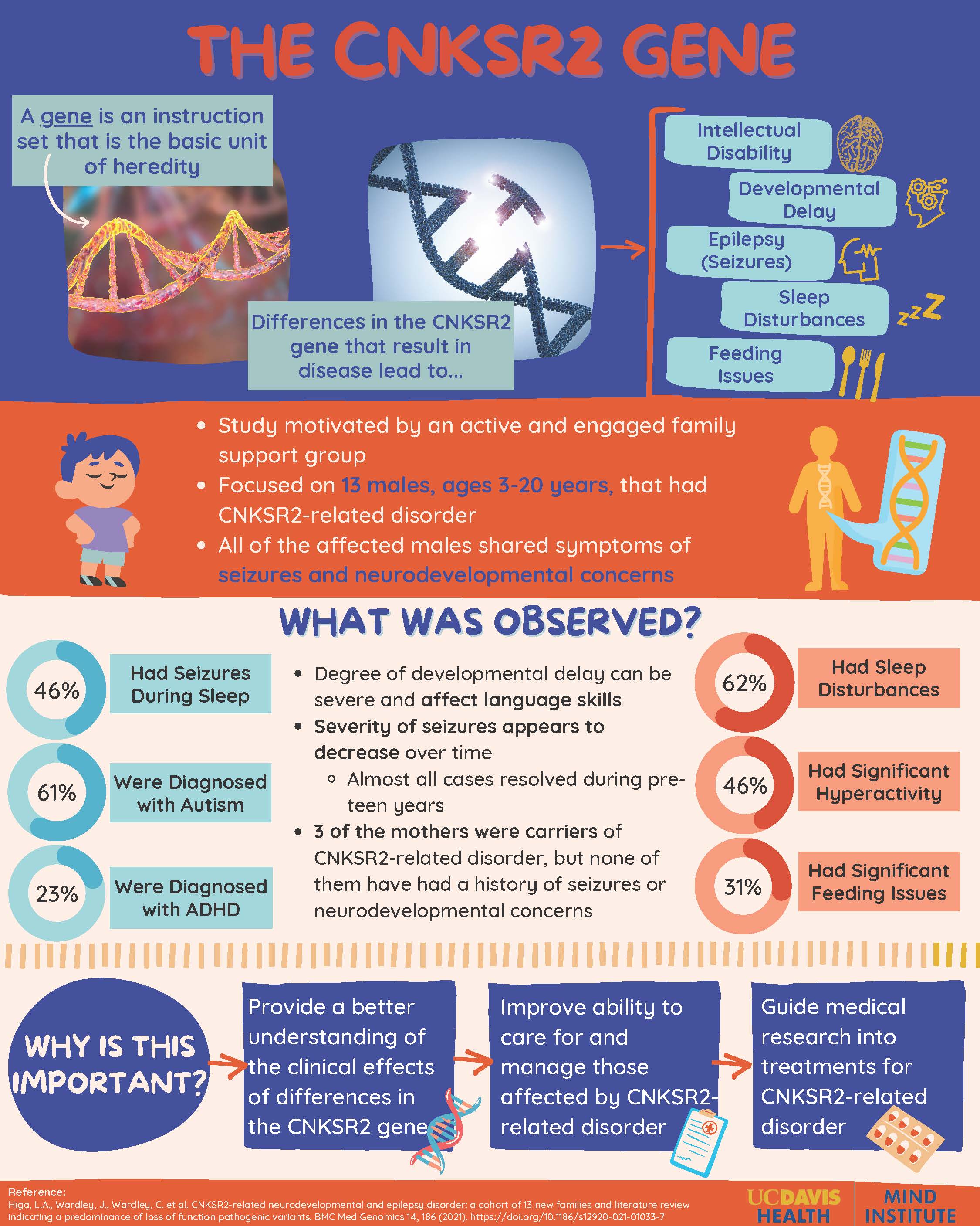 CNKSR2 Gene Infographic