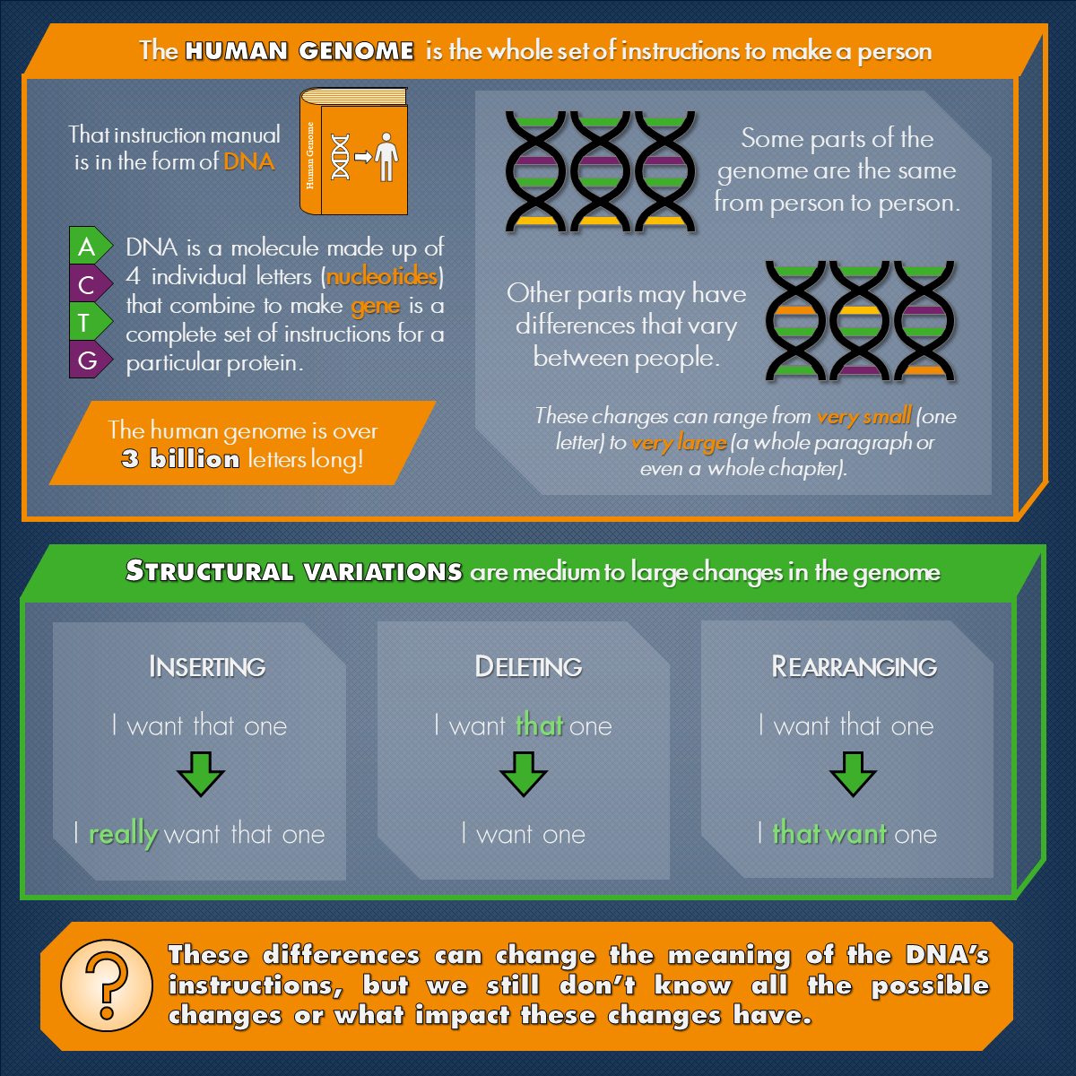 Human Genome Infographic