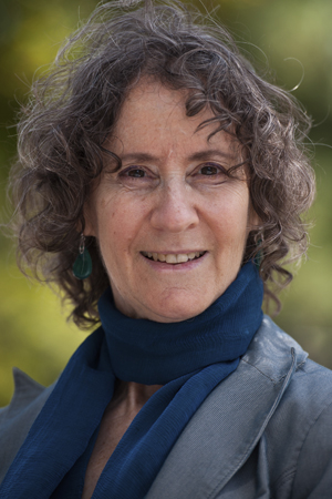 Irva Hertz-Picciotto, Ph.D., M.P.H.