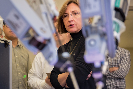 woman working on research