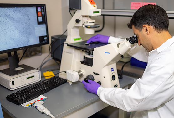 researcher looking into a microscope
