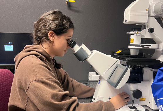Researcher looking into microscope