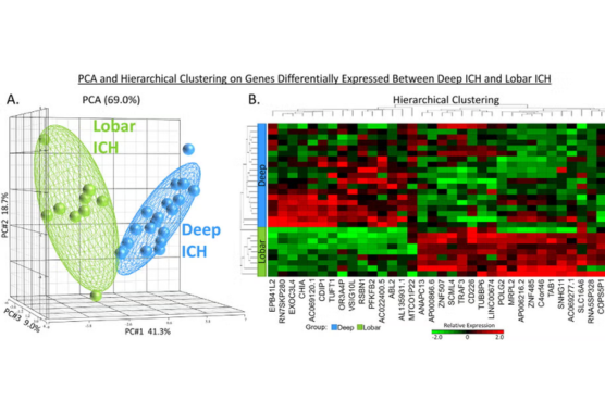 gene expression model