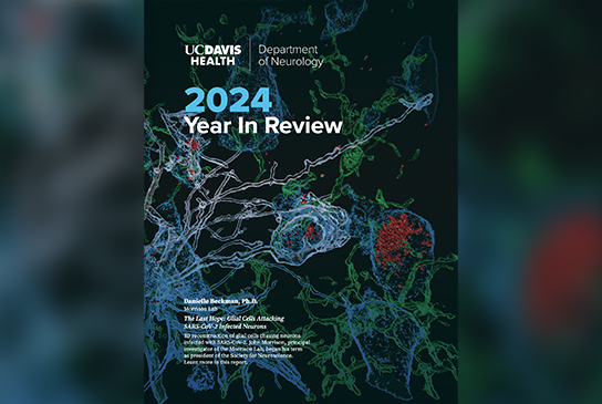 colorful cells and molecules with the words 2024 Year in Review on the top