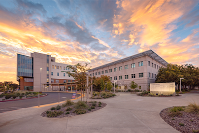 Lawrence J. Ellison Building