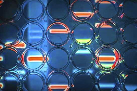 Pregnant mother and daughter embrace.