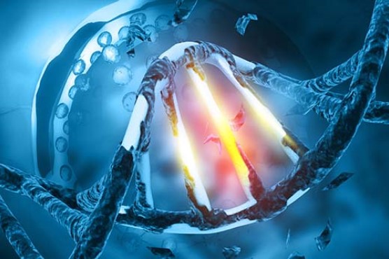 Animated design of DNA helix with animated graphics in blue and red.