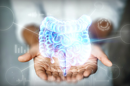 Image of lower abdomen, gastrointestinal illustration.