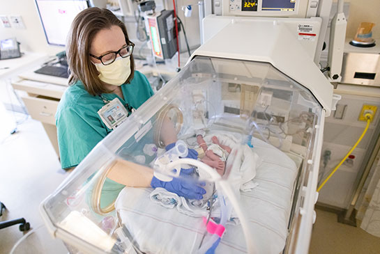 Neonatal physician examines neonatal infant in incubator