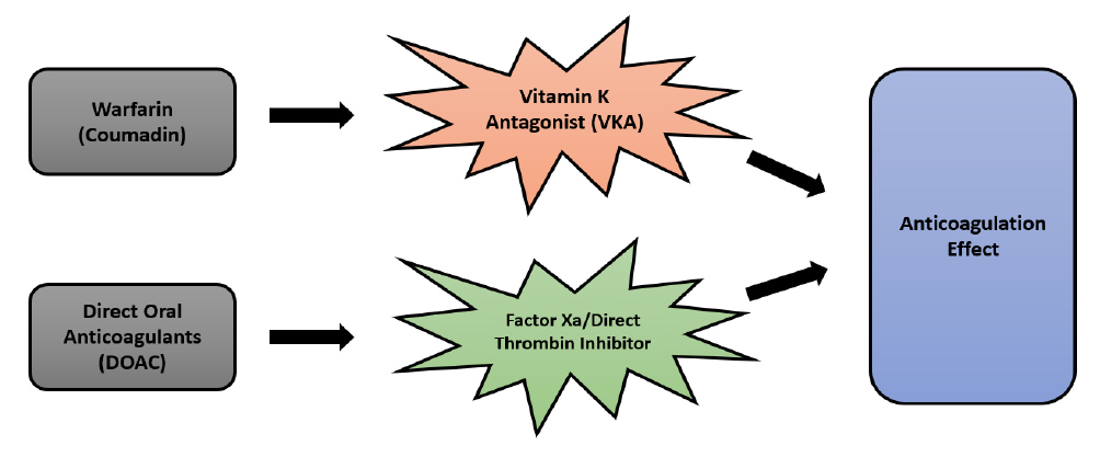 differences between warfarin and DOAC