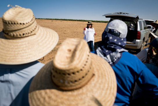 Backside view of a group of farmworkers listening to a woman giving a safety training in an agricultural field.