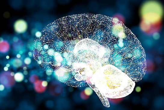 Colorful image of a brain