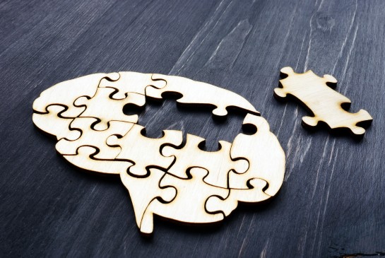 Puzzle pieces that form the shape of a brain