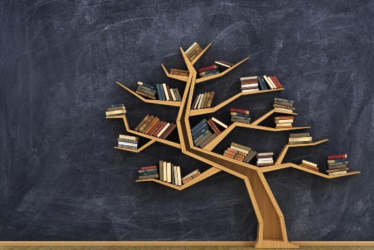 wooden tree with books on the branches