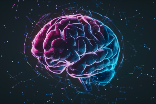 Colorful image of brain