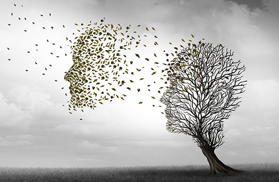 Illustration of a tree shaped like a face with leaves blowing away