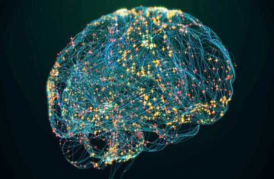 Colorful graphic of a brain