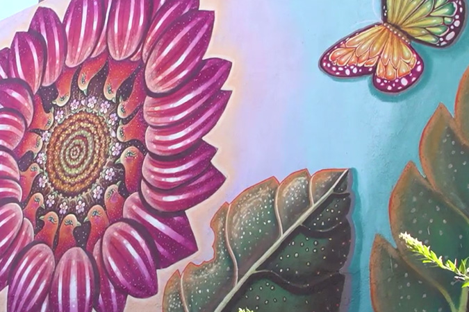 Mural of a flower and butterfly