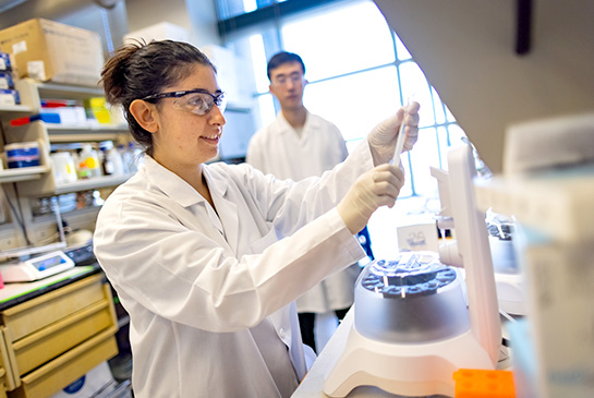 researchers in lab