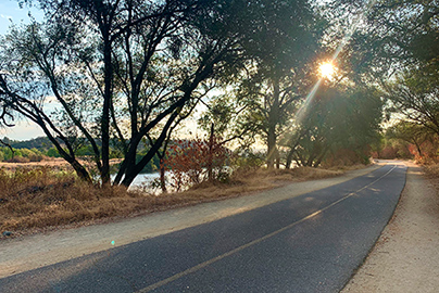 American River Bike Trail