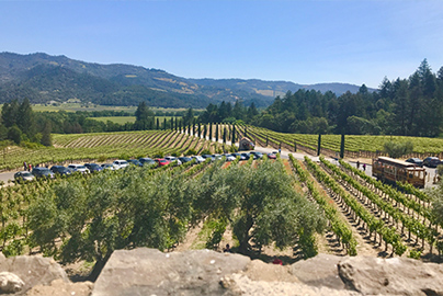 Winery looking toward Vineyards