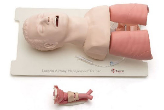 Laerdal Airway Training Head
