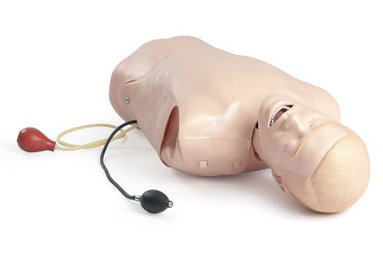 Laerdal Deluxe – Difficulty Airway Trainer Torso