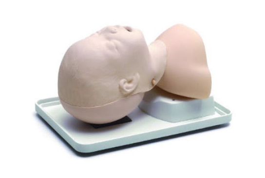 Laerdal Infant Airway Head