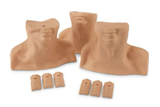 Nasco Cricothyrotomy Trainer