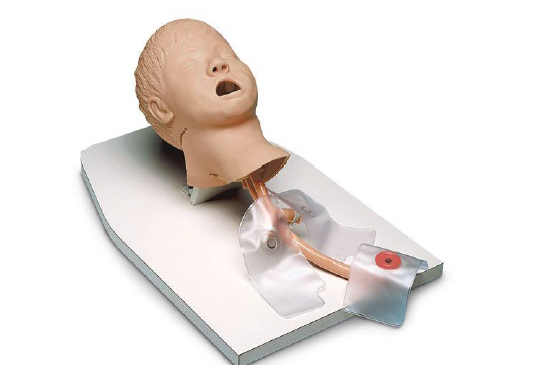 Pediatric Airway Head