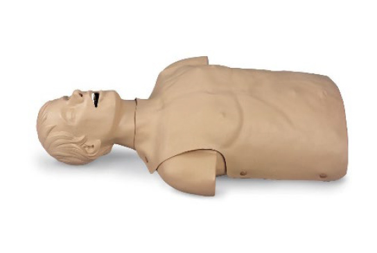 Simulaids Adult Airway Management Torso