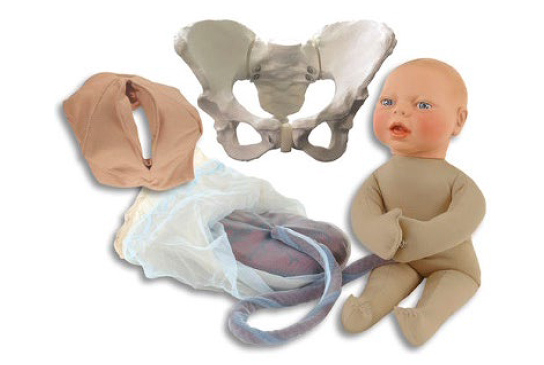 Cloth Birthing Trainer