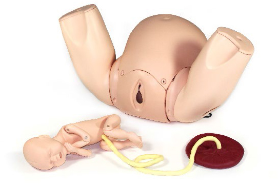 PROMPT Trainer Advanced