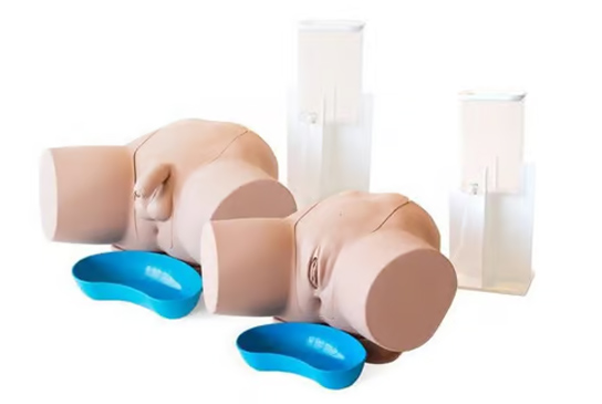 Foley Access Trainer (Limbs and Things)