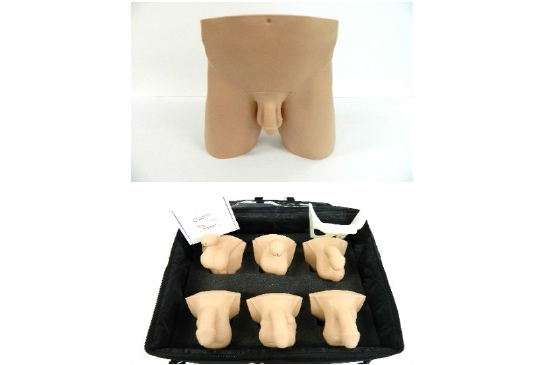 Male Genitalia Trainer