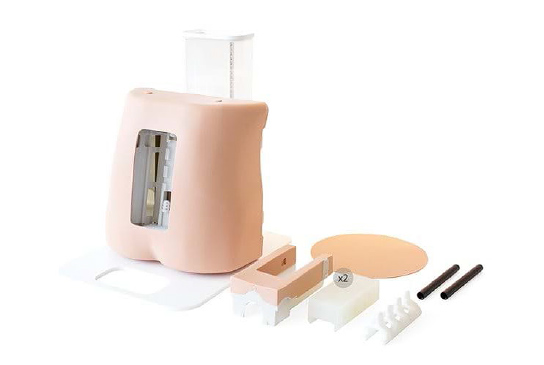 Limbs and Things LP Models (Ultrasound)